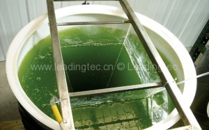 中空式光生物反應器