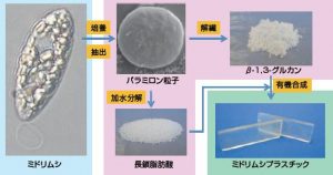 圖18. 日本產(chǎn)業(yè)技術(shù)綜合研究所、NEC公司與宮崎大學(xué)等單位聯(lián)合開發(fā)了利用裸藻生產(chǎn)生物塑料的技術(shù)。