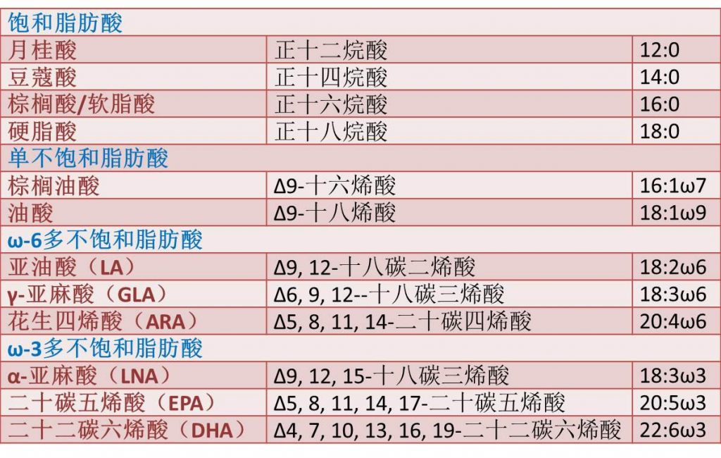 表1.常見(jiàn)脂肪酸的不同命名比較