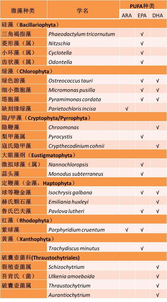 表2.研究和生產(chǎn)中常見(jiàn)的含有PUFA的微藻（菌）種類(lèi)