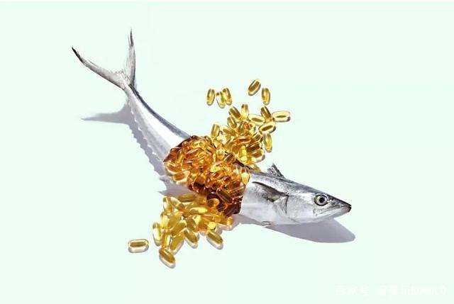 同是Omega-3來源，微藻可否替代魚類？