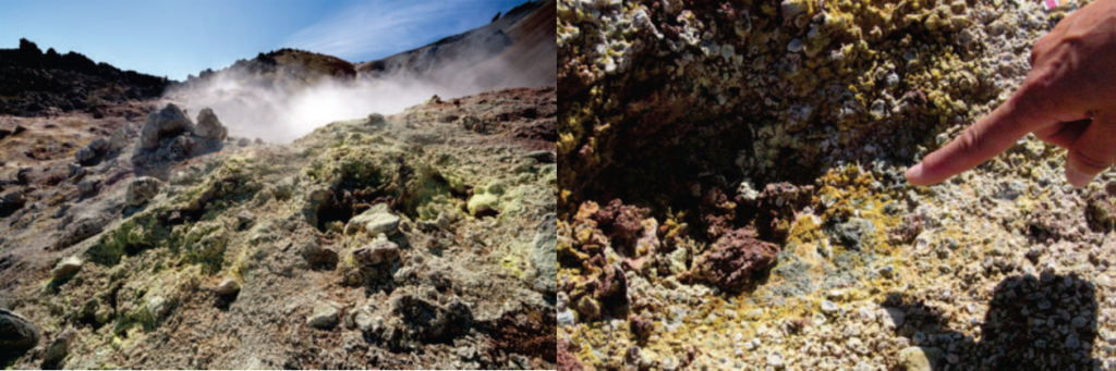 位于冰島東南部Hekla的Landmannalaugar（蘭德曼納勞卡高地），為歐洲著名的溫泉區(qū)域。該處分離得到的為G. sulphararia和G. maxima。
