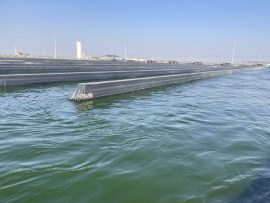 光語自養(yǎng)海水微擬球藻濃縮液