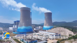 電廠如何用微藻固碳？
