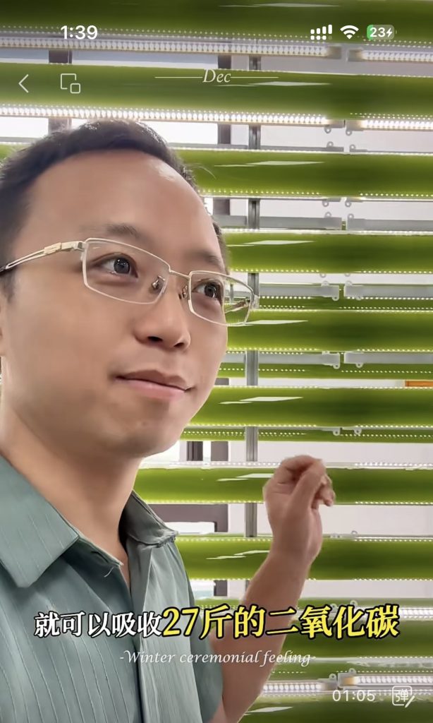 光語光反應(yīng)器微藻處理廢水實(shí)際案例