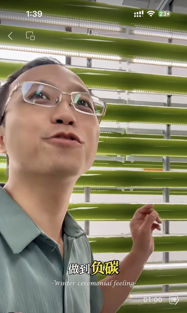 光語光反應(yīng)器微藻處理廢水實(shí)際案例